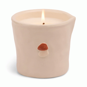 BIS0804EU Bistro 226g Mushroom Embossed Ceramic Candle Paddywax - Wild Mushroom Boxed